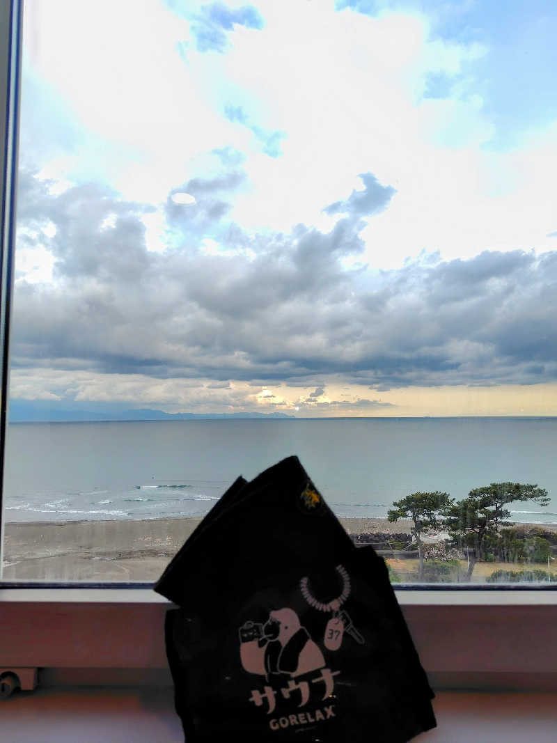 さうナガンさんの駿河健康ランドのサ活写真