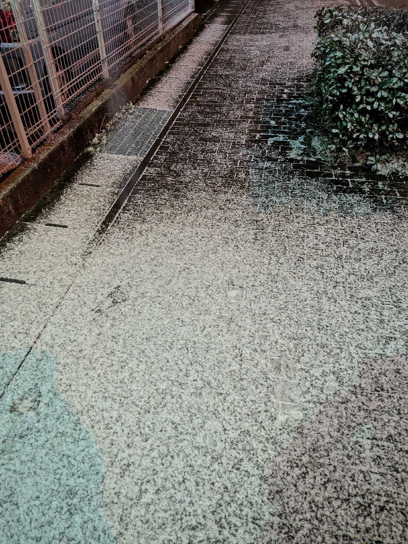 きんのんさんの湯ごころ ゆるりのサ活写真