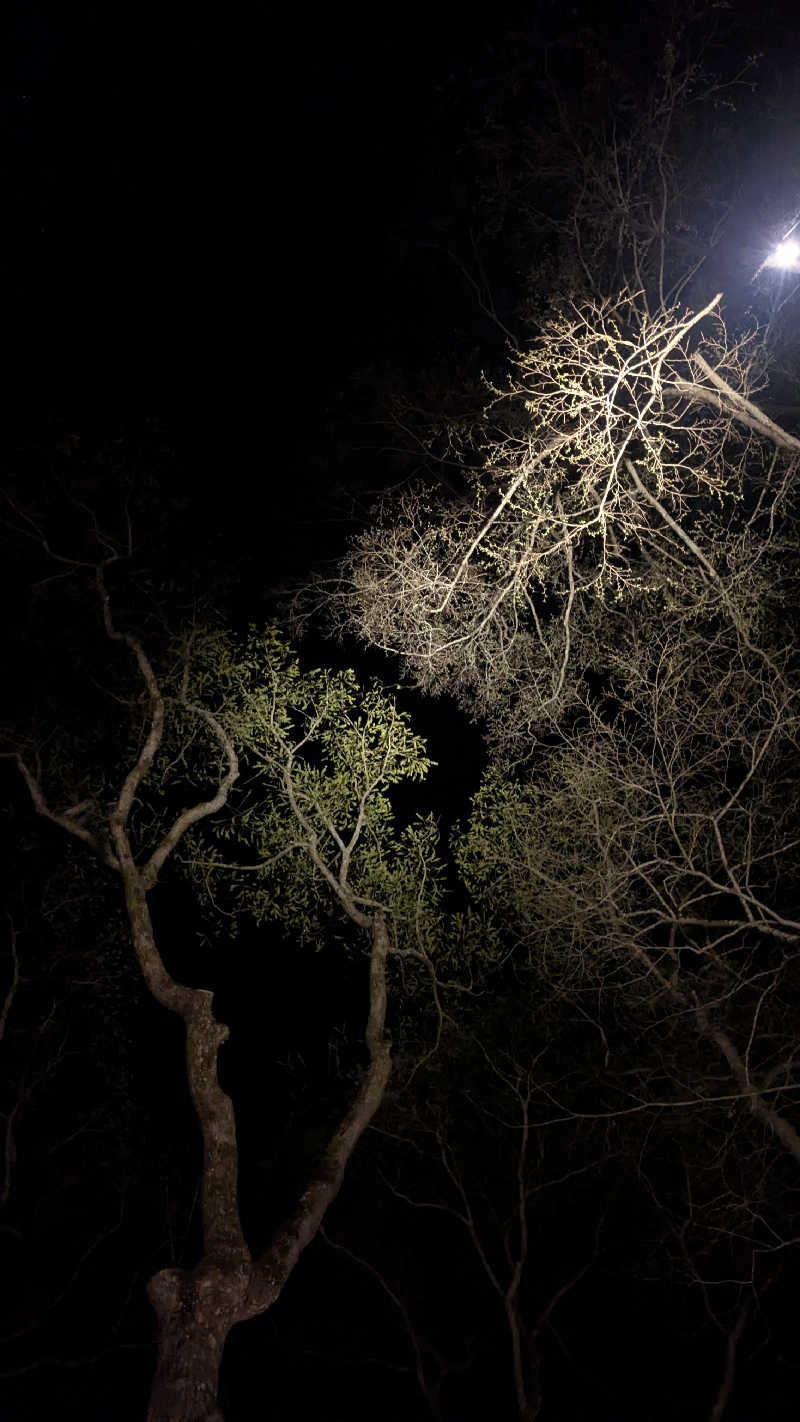 NSKさんのThe Saunaのサ活写真