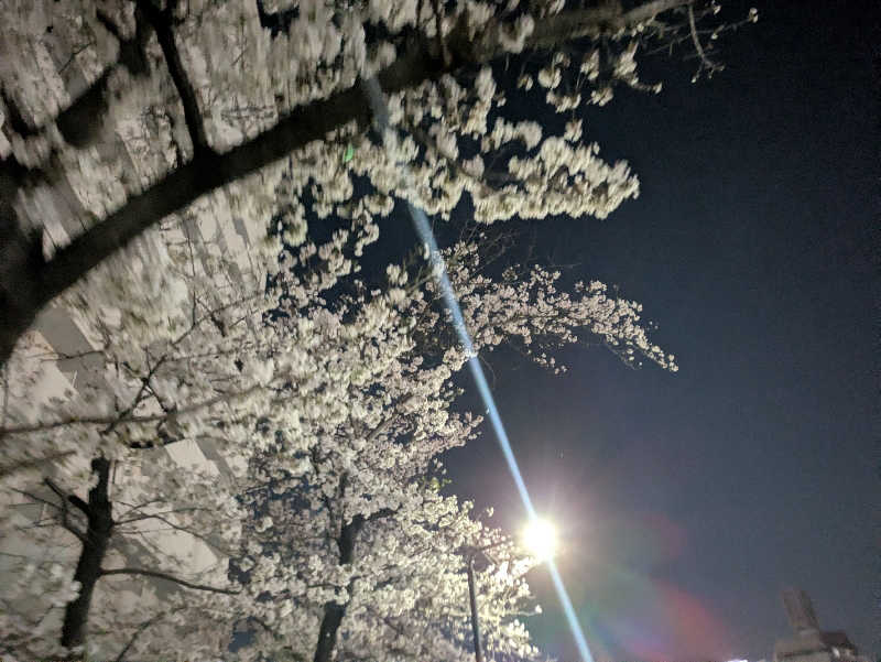 NSKさんのカプセル&サウナ ロスコのサ活写真