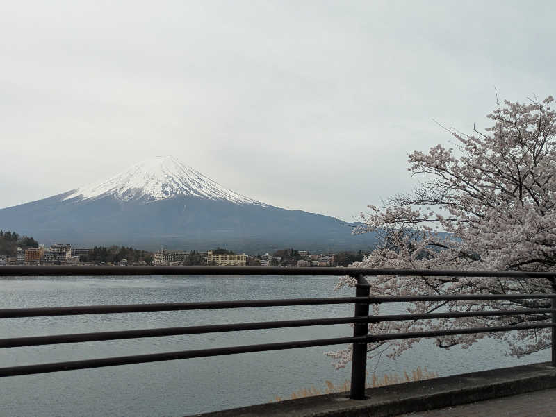 NSKさんの天然温泉ホテルリブマックスBUDGET甲府のサ活写真
