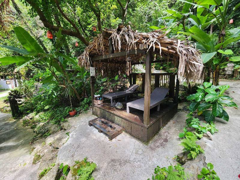 tamaさんの亜熱帯サウナのサ活写真