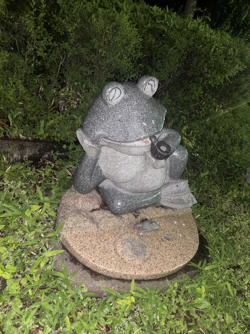 |´∀`).。oO(🐯さんの天然温泉 真名井の湯 大井店のサ活写真