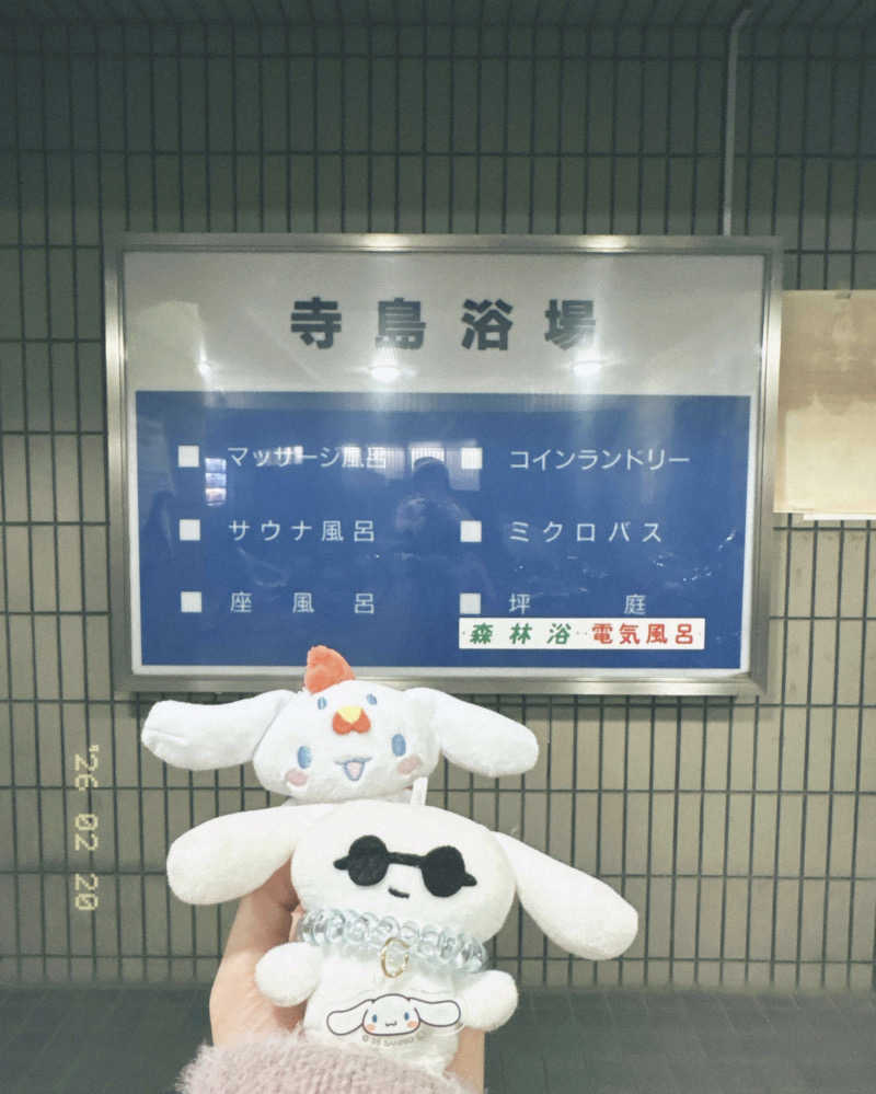 まいんまいんちゃんさんの寺島浴場のサ活写真