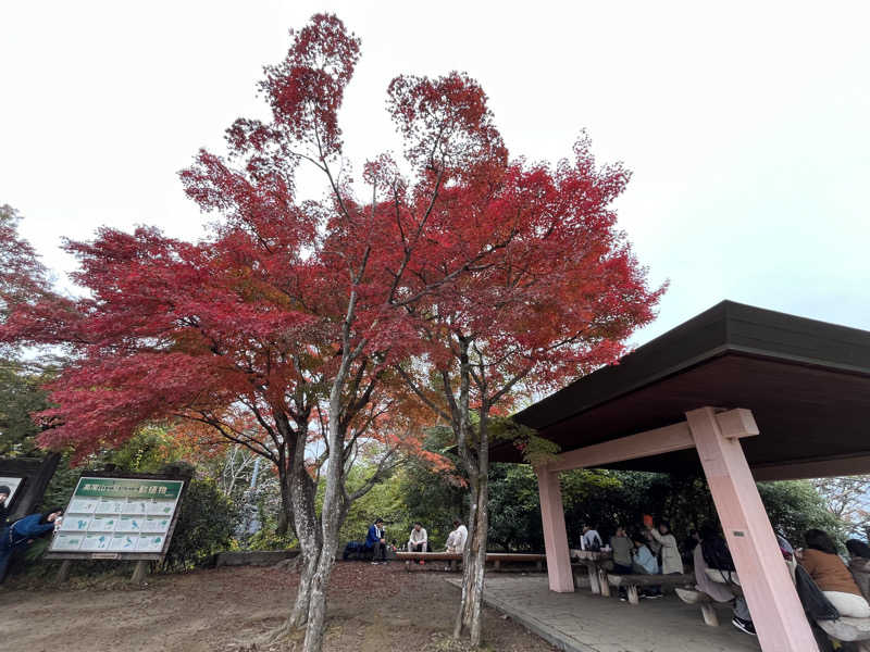 まえしゅんさんのSPA:BLIC 赤坂湯屋のサ活写真