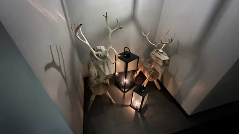 ラークさんのLapland Hotels Bulevardiのサ活写真