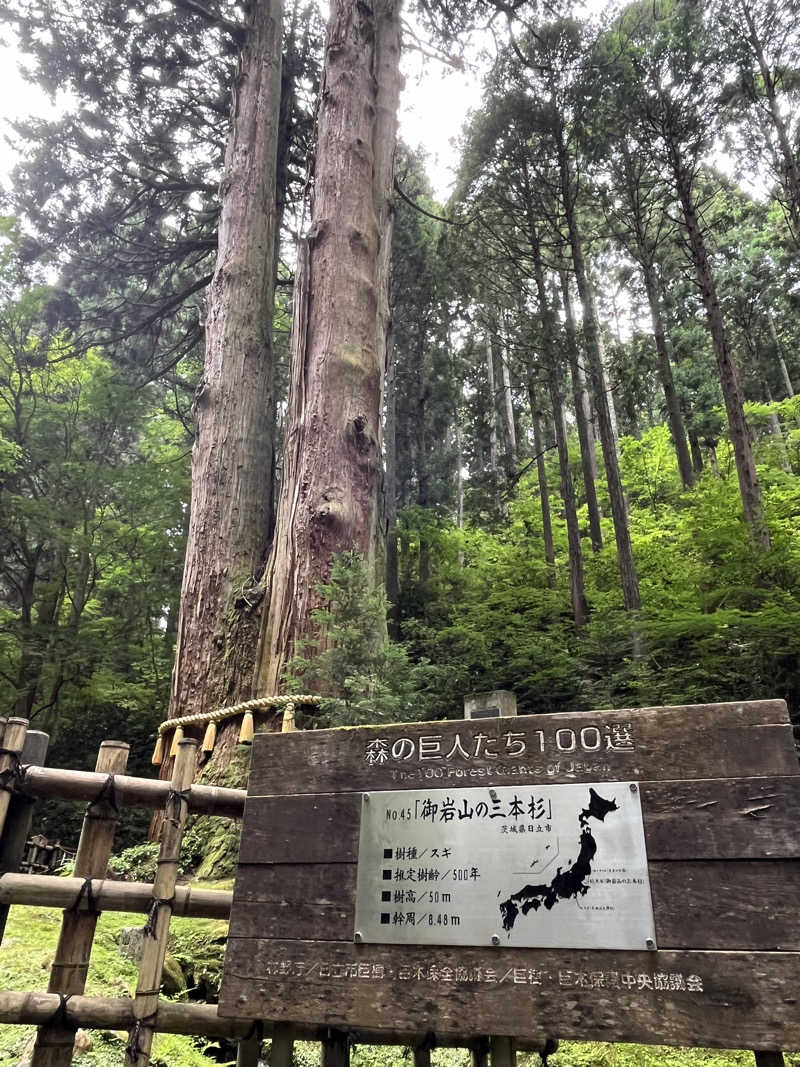 サウナおじさんさんの湯楽の里 日立店のサ活写真