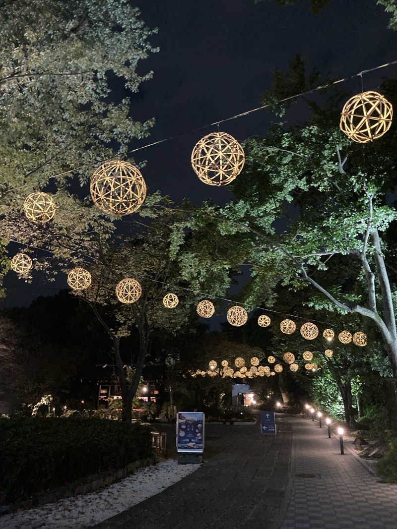 たたたさんのよみうりランド眺望温泉 花景の湯のサ活写真