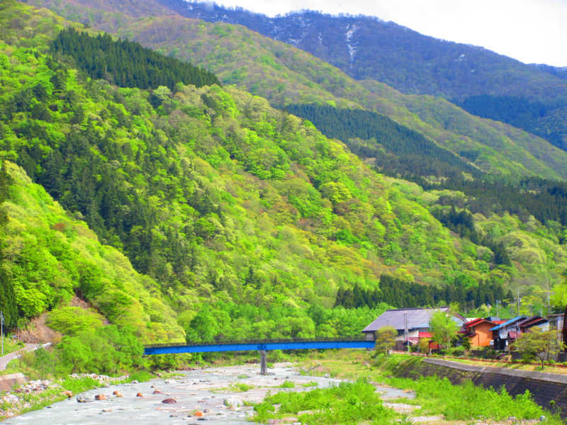 たろたろさんのくろば温泉のサ活写真
