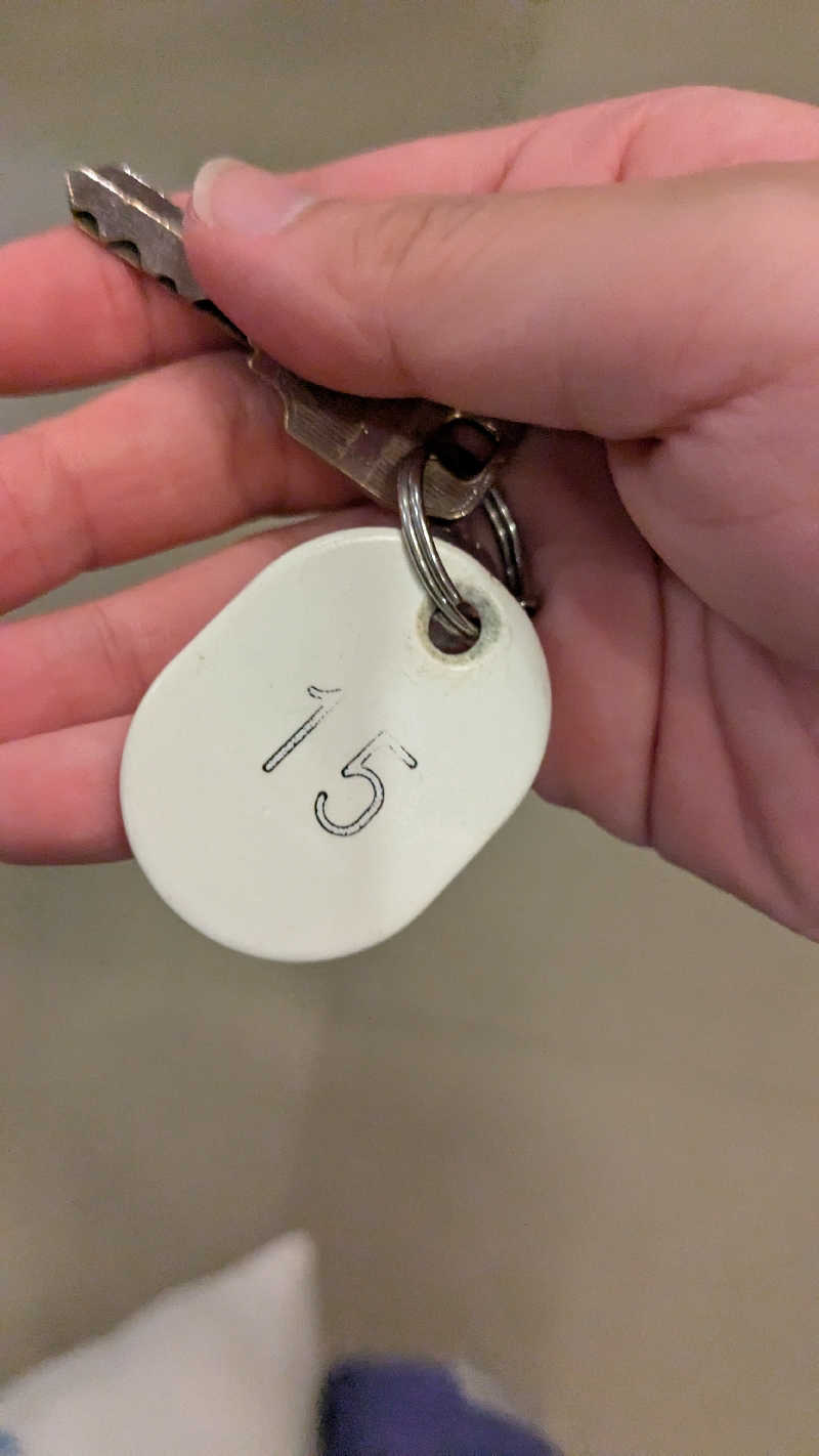 もちおさんの湯源郷 太平のゆ なんば店のサ活写真