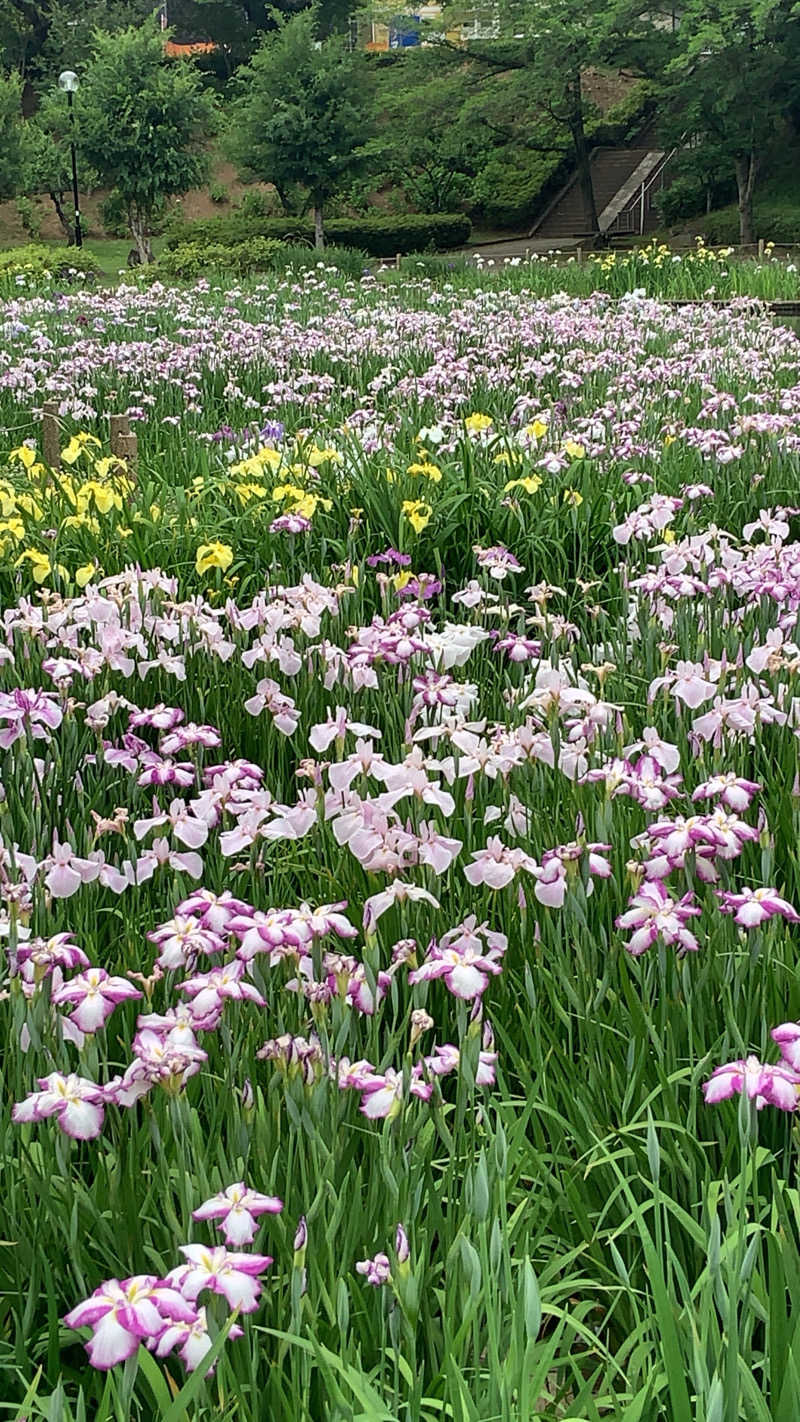 たくさんのいこいの郷 常総のサ活写真