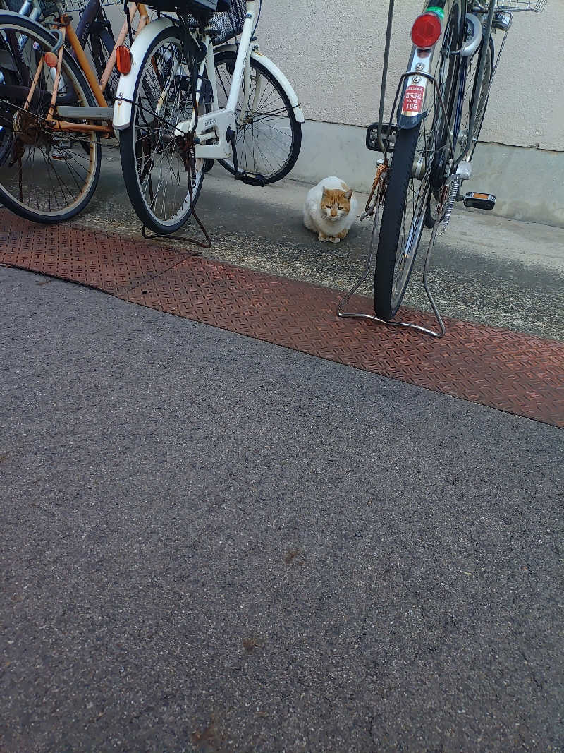 右京さんの永楽湯のサ活写真