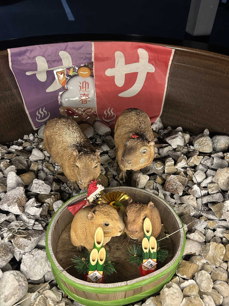 ちゃんやまさんの富士山天然水SPA サウナ鷹の湯のサ活写真