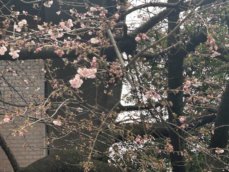 gahoさんのジェクサー・フィットネス&スパ新川崎のサ活写真