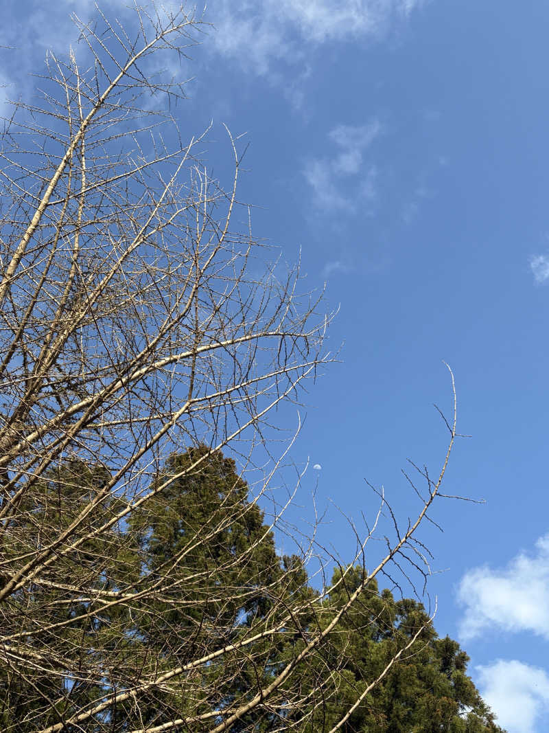あまみみちゃんさんのザランタン鹿沼 前日光あわの山荘のサ活写真