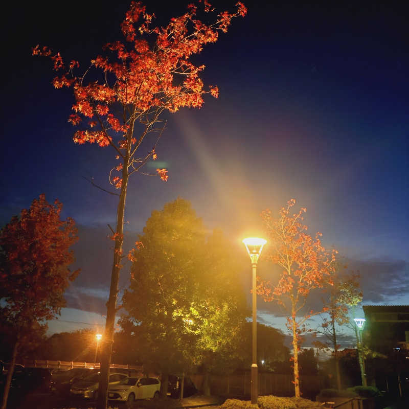 ショウさんのゆうゆうプラザ 四季彩の湯のサ活写真