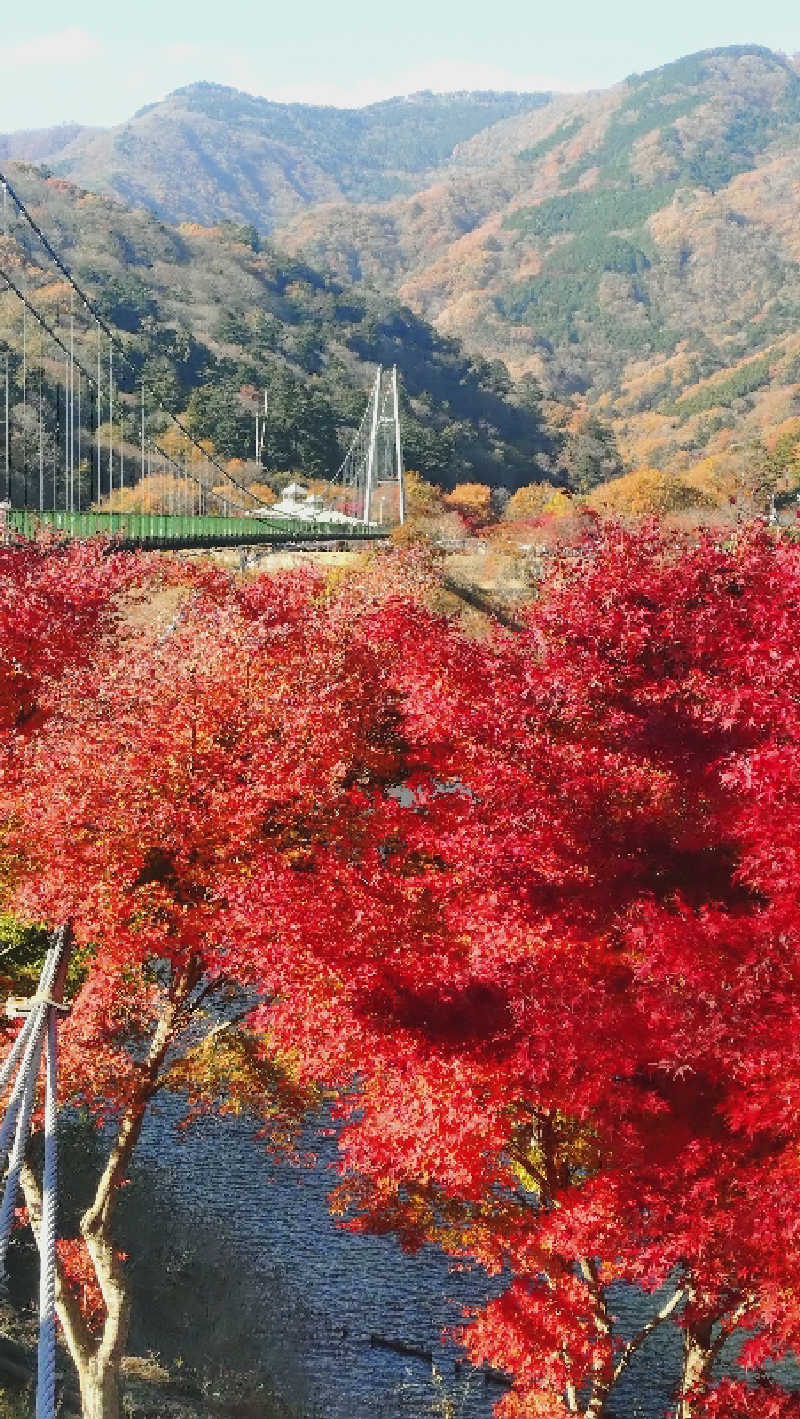 ショウさんの大江戸温泉物語 premiumホテルニュー塩原のサ活写真