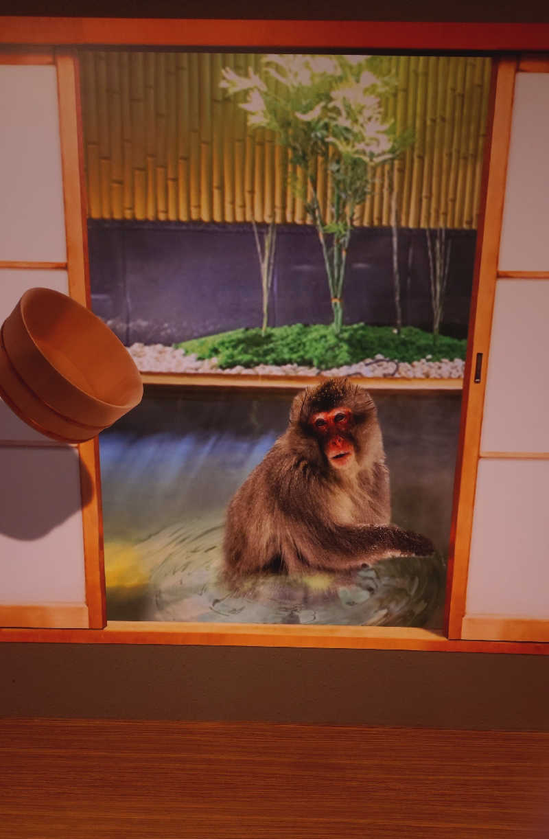 ショウさんの大江戸温泉物語 premiumホテルニュー塩原のサ活写真