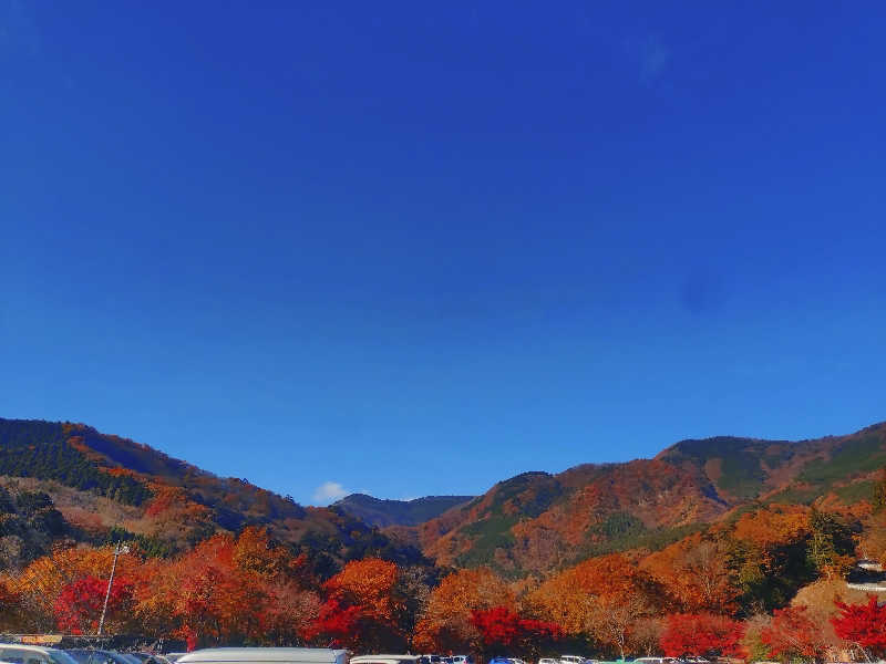 ショウさんの大江戸温泉物語 premiumホテルニュー塩原のサ活写真