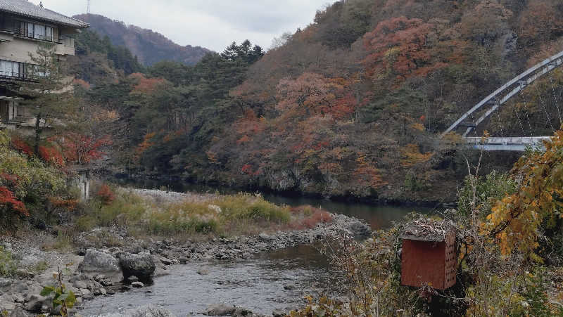 ショウさんの川治温泉「薬師の湯」のサ活写真