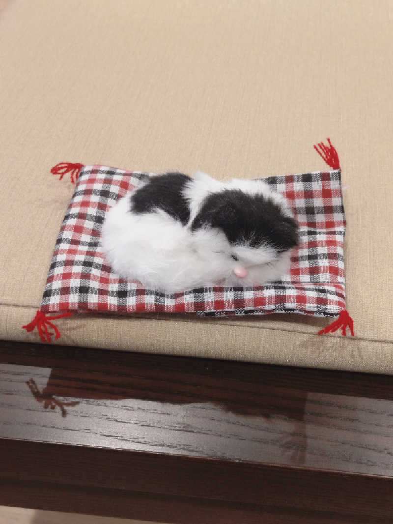 ショウさんの栃木天然温泉 いきいき夢ロマンのサ活写真