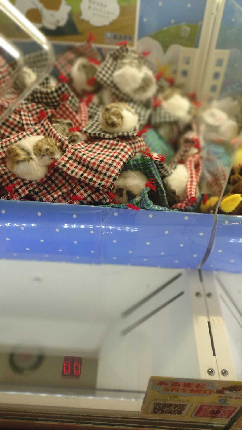 ショウさんの栃木天然温泉 いきいき夢ロマンのサ活写真