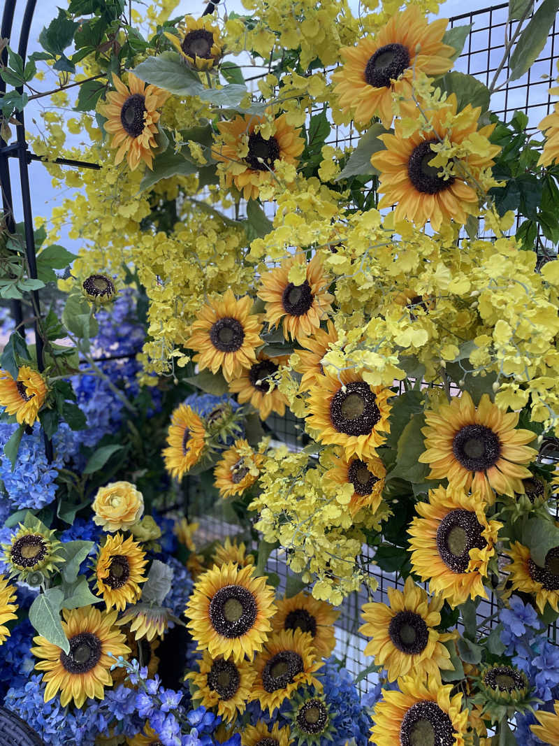 ゆうさんのよみうりランド眺望温泉 花景の湯のサ活写真