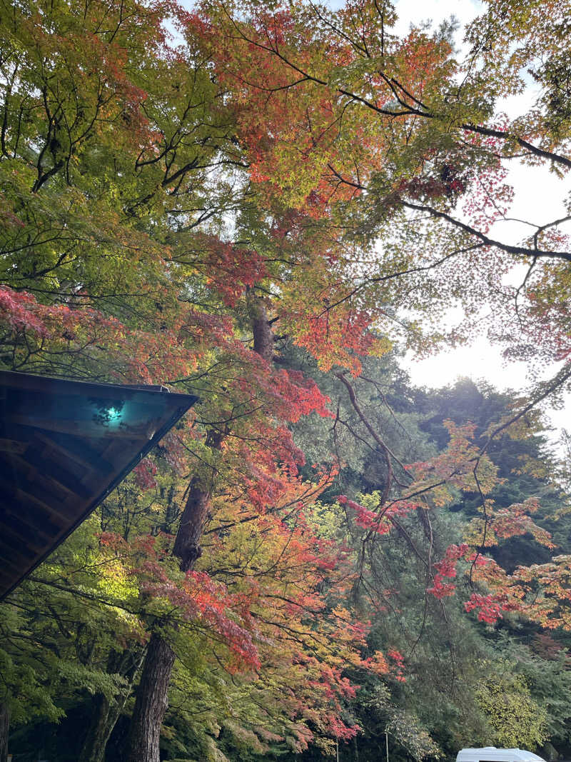 押満 三魂さんの泊まれる銭湯 鷹の湯のサ活写真