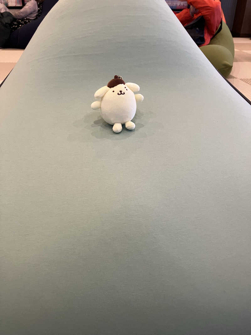 にらきちさんの天然温泉ろっこうの湯のサ活写真