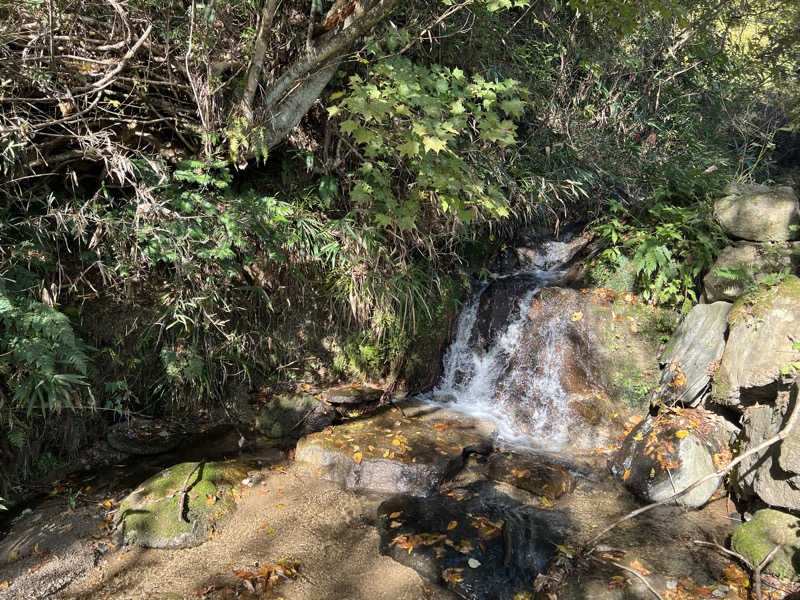 おサむさんのMIDORITO SAUNA(ミドリトサウナ) Glamorous BBQ&Campのサ活写真