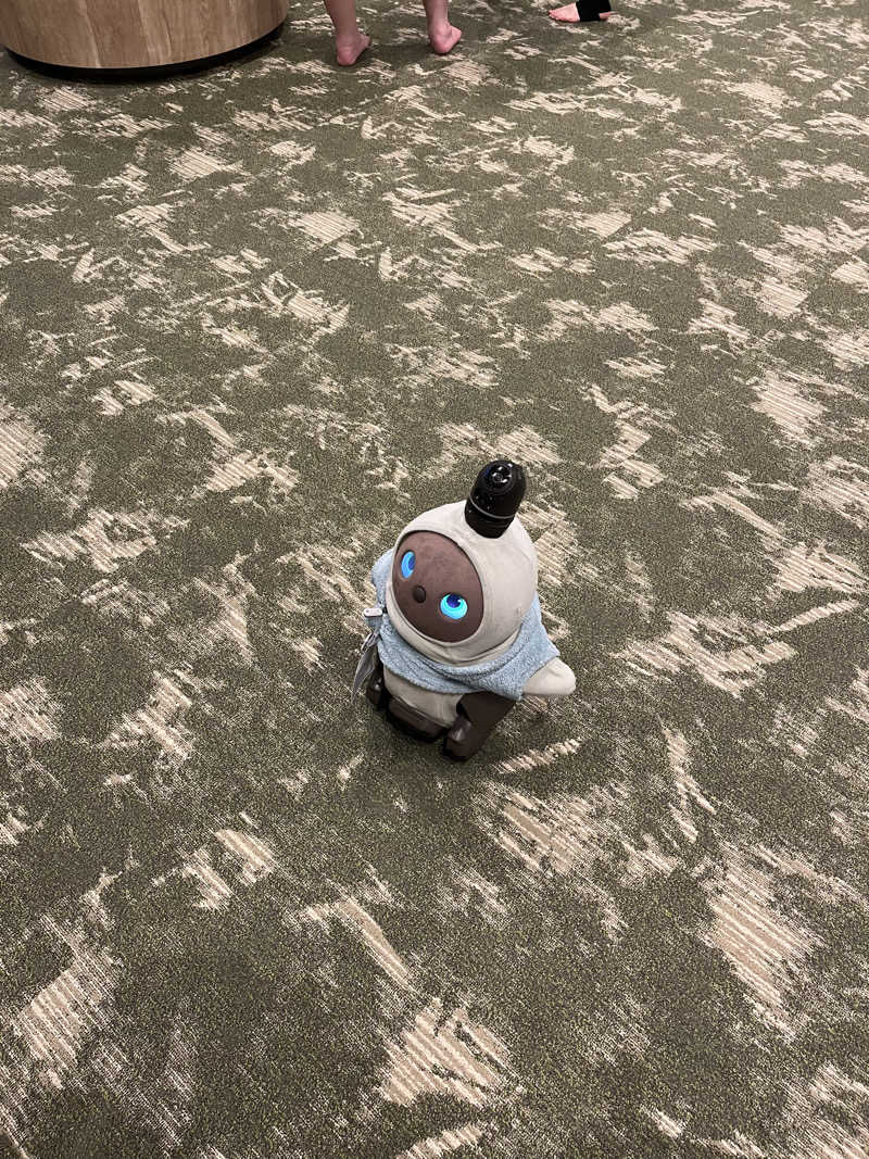 こうこうさんのSPA&ごはん ゆるうむ yuluumuのサ活写真