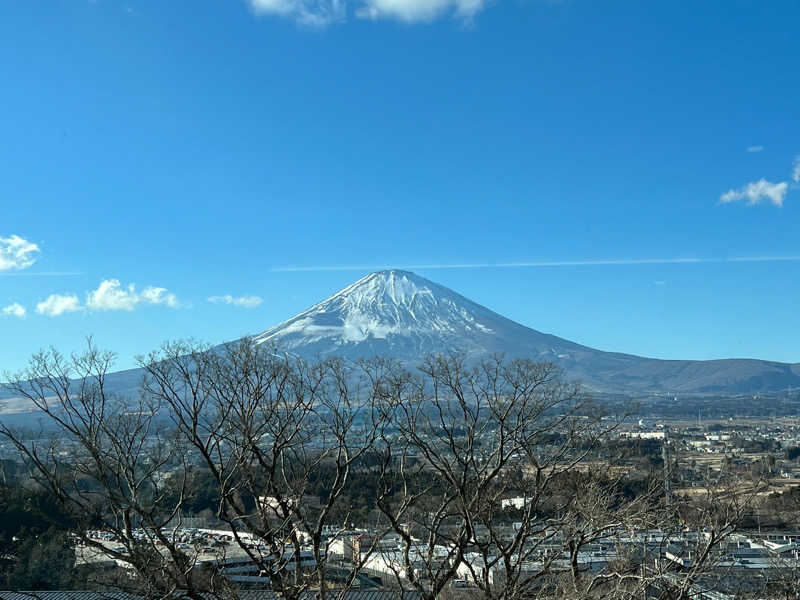 めてこさんの木の花の湯(HOTEL CLAD)のサ活写真