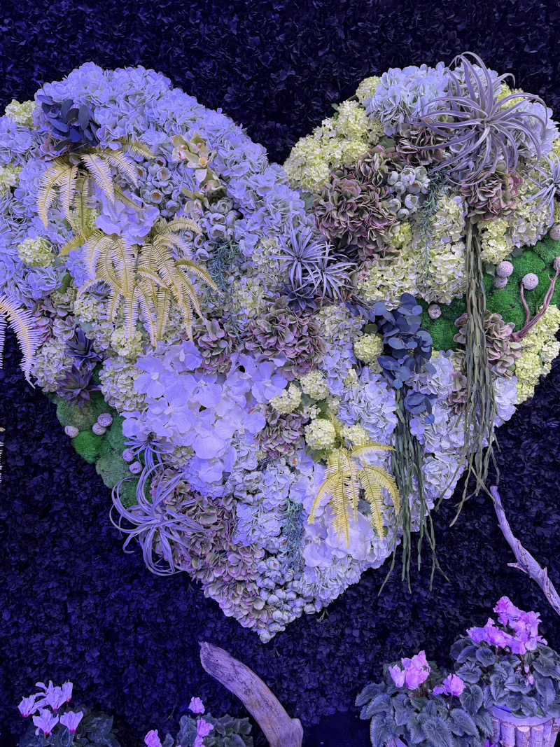 syunshunさんのよみうりランド眺望温泉 花景の湯のサ活写真