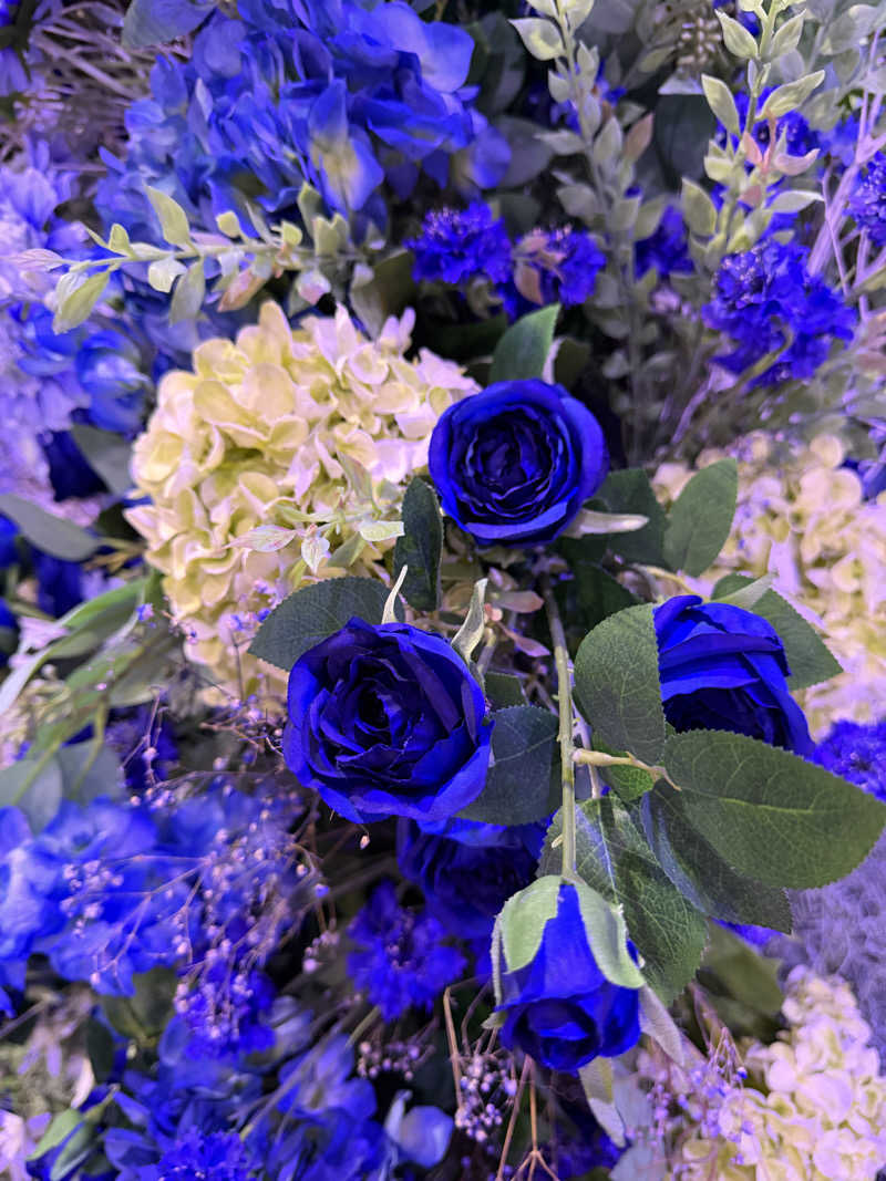 syunshunさんのよみうりランド眺望温泉 花景の湯のサ活写真