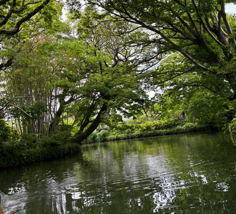 あしっどサウナさんの天然温泉 袖湊の湯(ドーミーインPREMIUM 博多・キャナルシティ前)のサ活写真