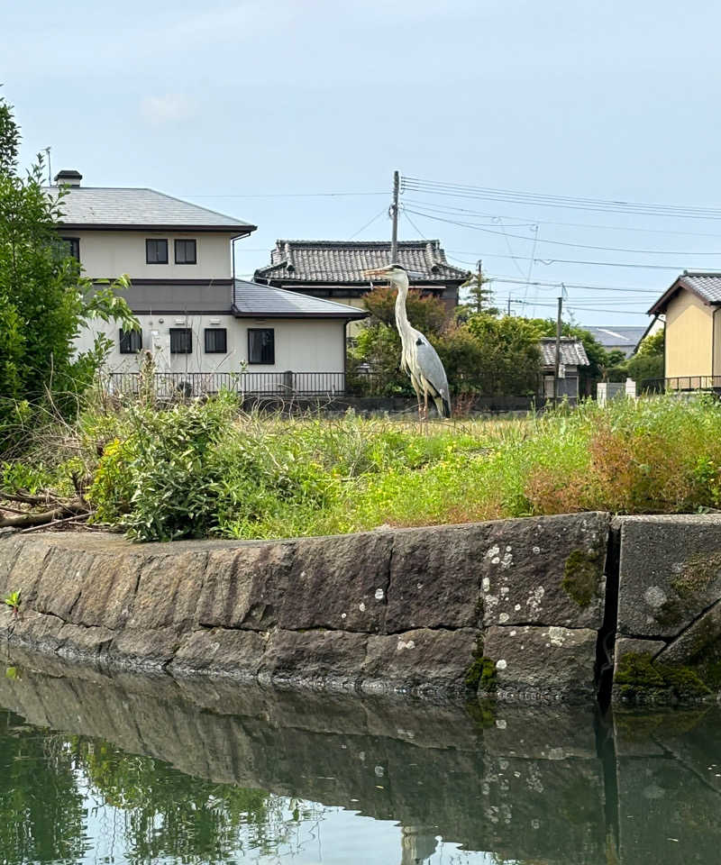 あしっどサウナさんの天然温泉 袖湊の湯(ドーミーインPREMIUM 博多・キャナルシティ前)のサ活写真