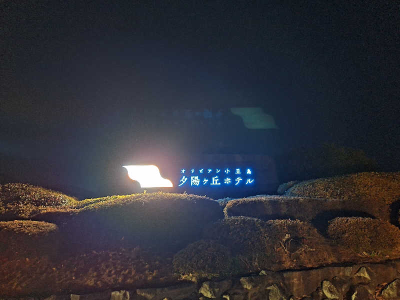 Great-Tigerｰ7.5HzNeoさんのオリビアン小豆島 夕陽ヶ丘ホテルのサ活写真