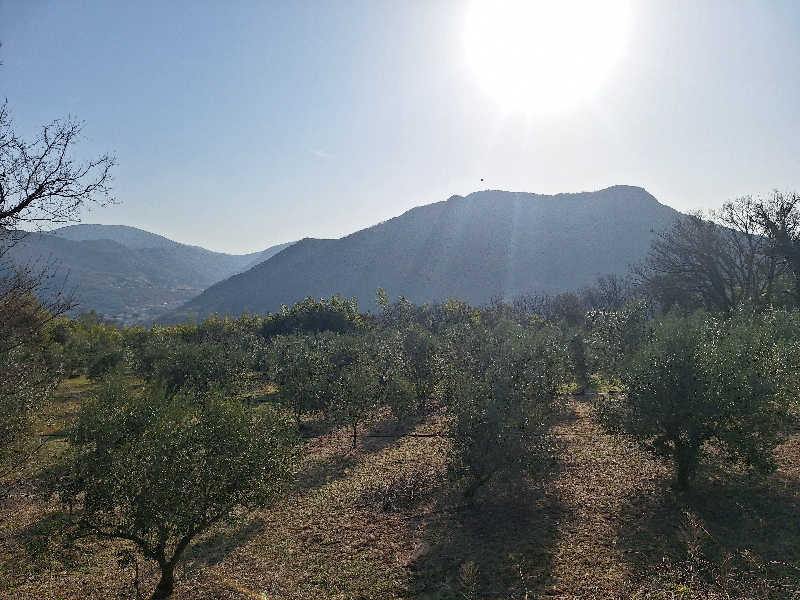 Great-Tigerｰ7.5HzNeoさんのオリーブ温泉満天の湯のサ活写真