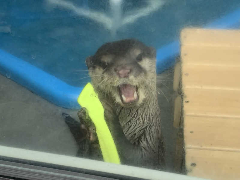 レイさんのよみうりランド眺望温泉 花景の湯のサ活写真