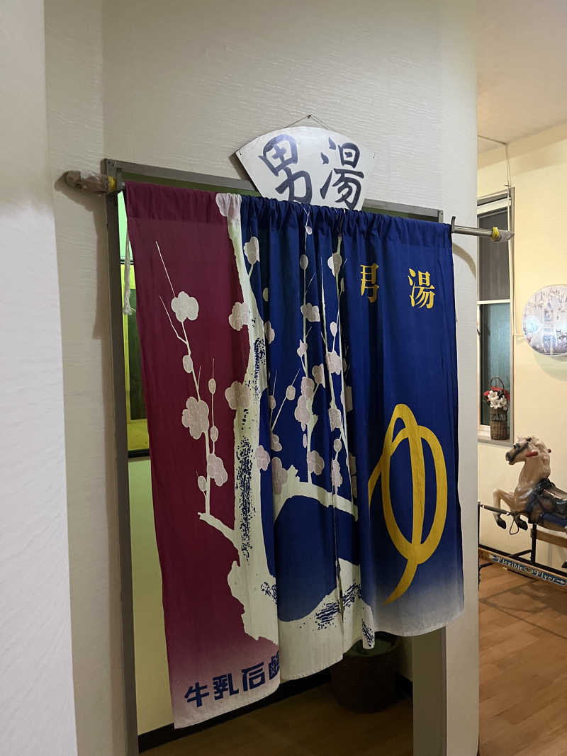 39n_saunaさんのニュー銭湯 豊川のサ活写真