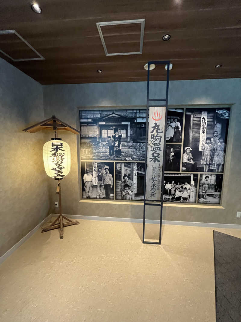 39n_saunaさんの奥札幌の秘湯 湖畔の宿支笏湖 丸駒温泉旅館のサ活写真