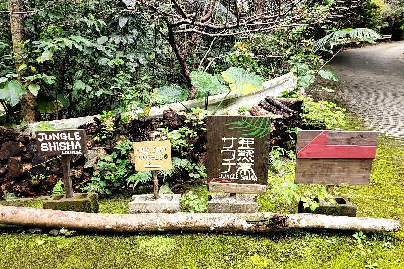 ととのい知らずさんの亜熱帯サウナのサ活写真