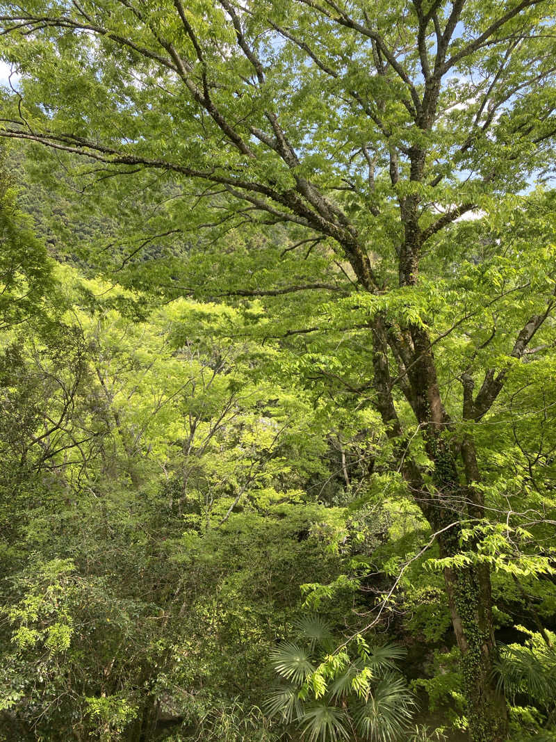 TONさんの霧の森 交湯〜館のサ活写真