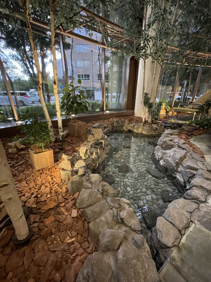 raizapさんのホテルマイステイズ プレミア札幌パーク パークサイドスパのサ活写真