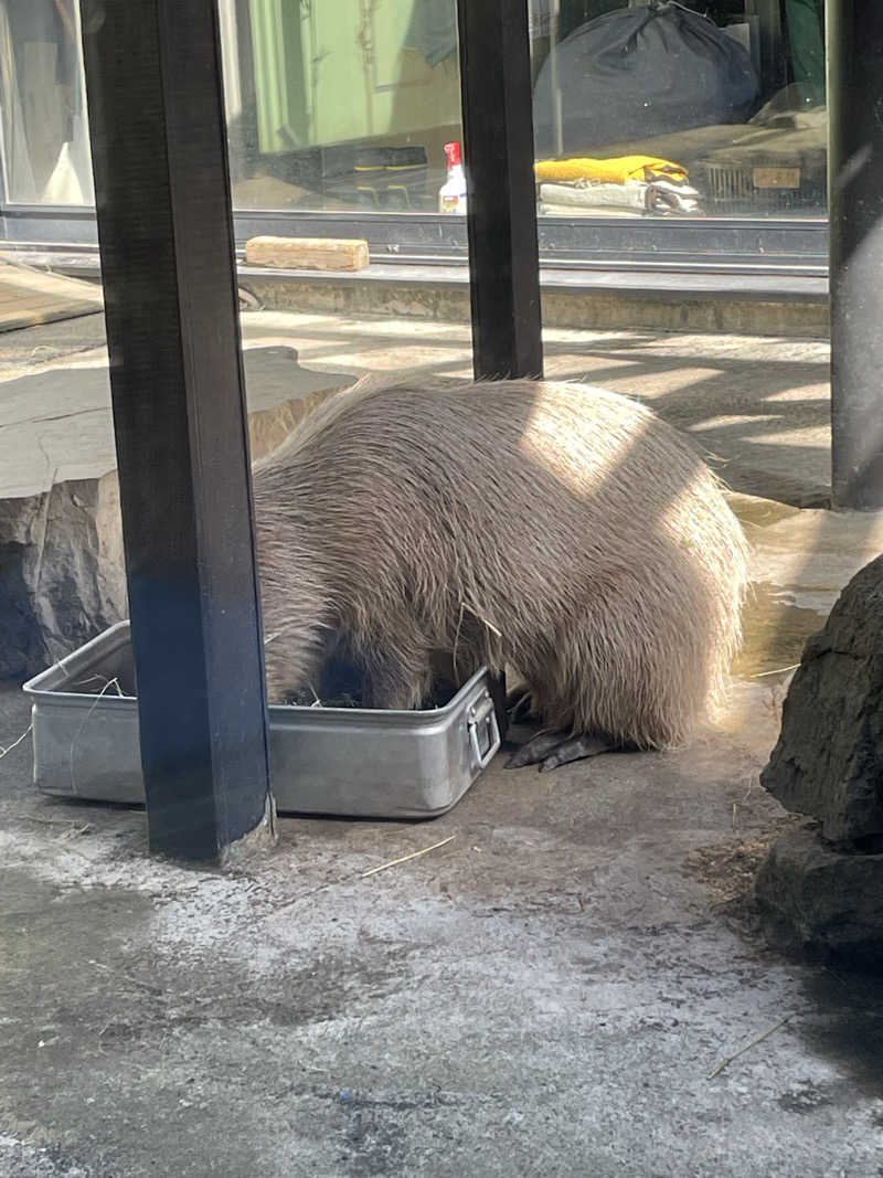 raizapさんの石狩天然温泉 番屋の湯のサ活写真