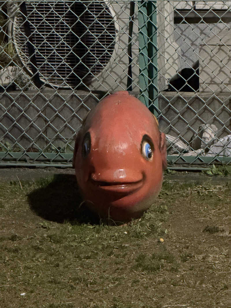 よしくん_officialさんのZICCAサウナのサ活写真