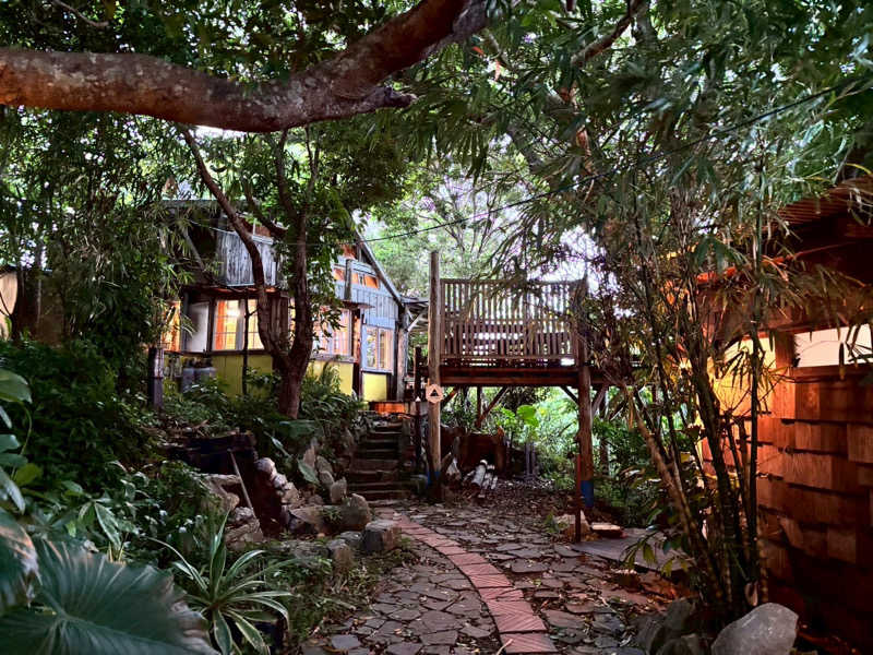 あかささんのサウナ 森の巣箱のサ活写真