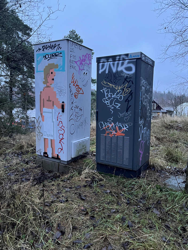 あかささんのSompasaunaのサ活写真