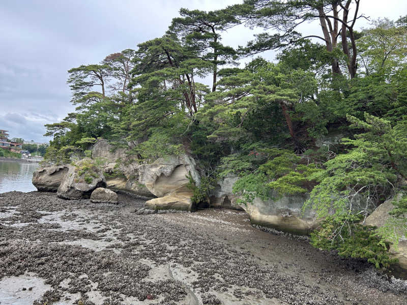 ももいろのサウスポーさんの天然温泉 杜都の湯 御宿 野乃仙台のサ活写真
