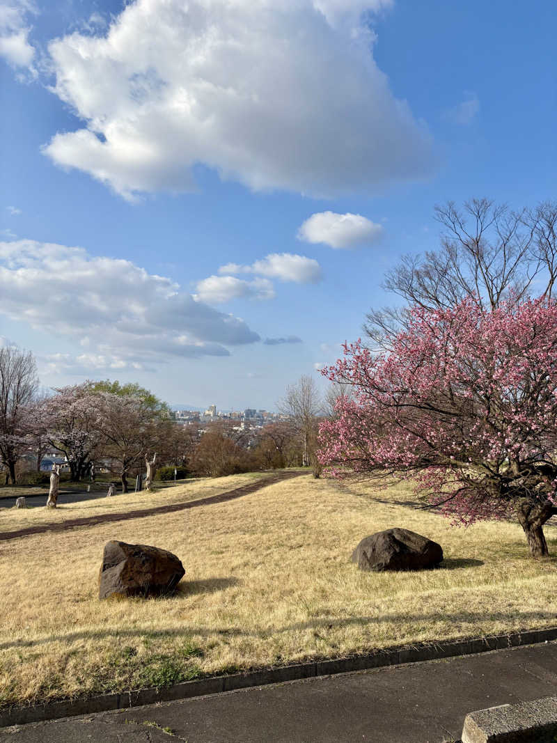 infinityさんのヒルズサンピア山形のサ活写真